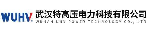 武汉特高压电力科技有限公司